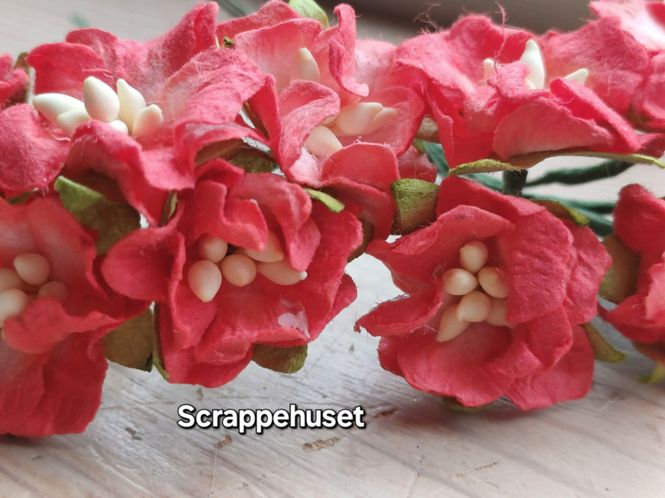 Hovedbilde Robuste Papirblomster - Rød med innslag av Hvit - ...