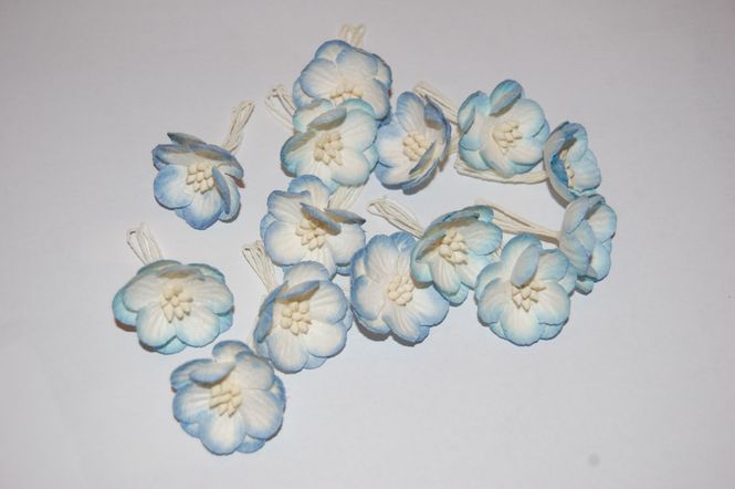 Hovedbilde Papirdesign-Kisebærblomst-Blå-PD127