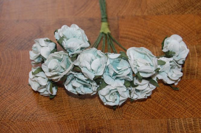 Hovedbilde Lyseblå Vill Blomster 12 stk i pakken-SH97