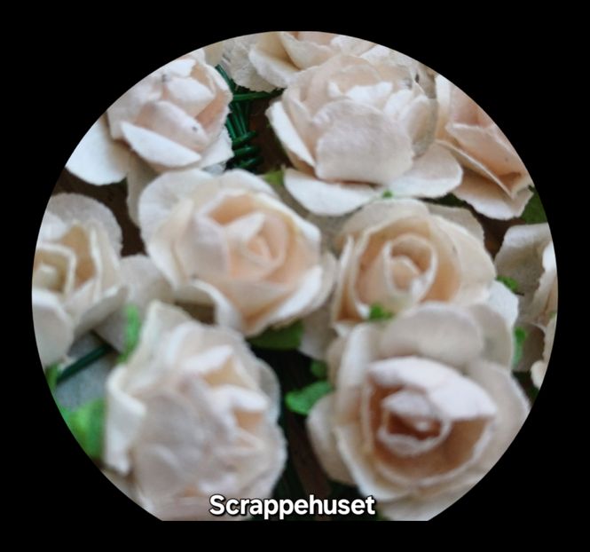 Hovedbilde Lys Beige - SH66