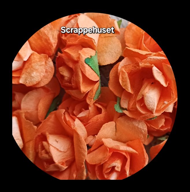 Hovedbilde Orange Roser - SH56