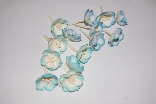 Hovedbilde Papirdesign-Kisebærblomst-Blå/turis-PD128