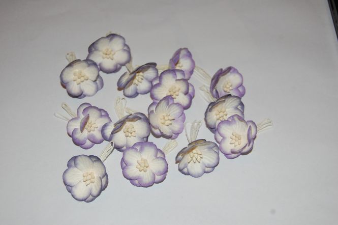Hovedbilde Papirdesign-Kisebærblomster-Lilla -PD180