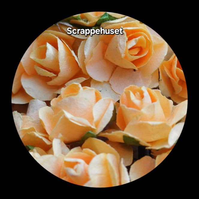 Hovedbilde Lys Aprikos - SH62