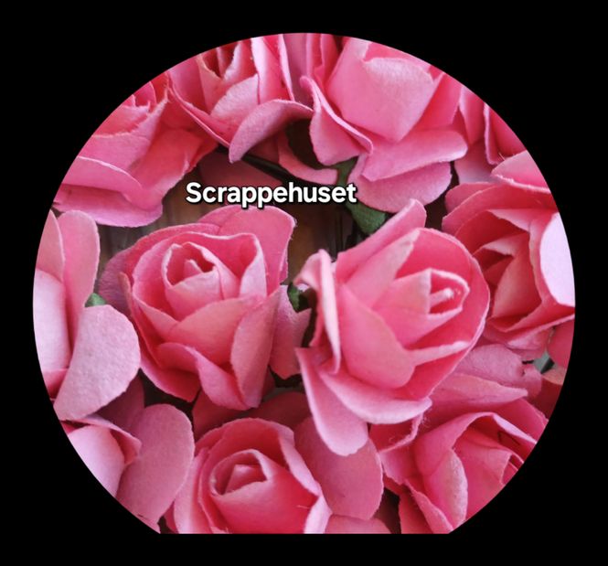 Hovedbilde Gammelrosa Roser - SH64