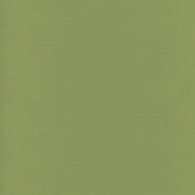 Hovedbilde Kartong-Linen-12x12 inch-240 gr- Basilikum 41