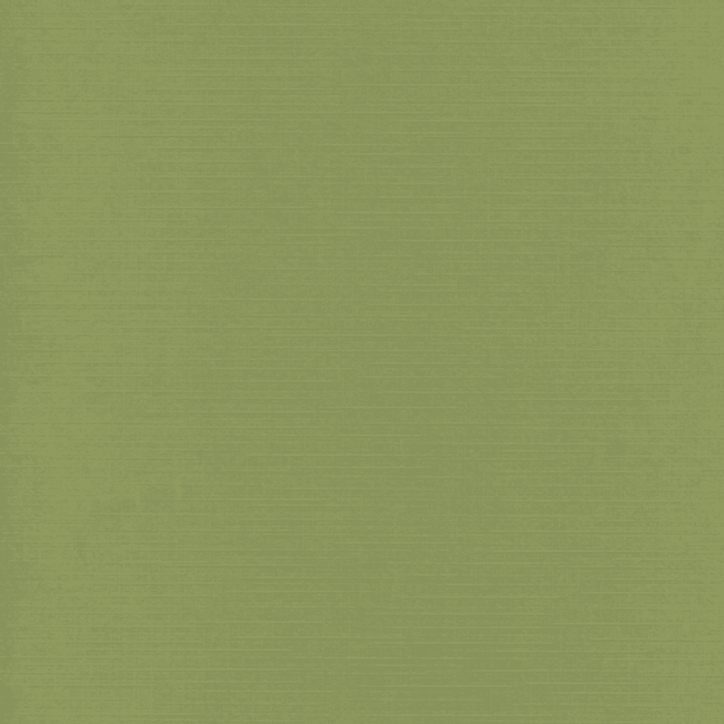 Kartong-Linen-12x12 inch-240 gr- Basilikum 41