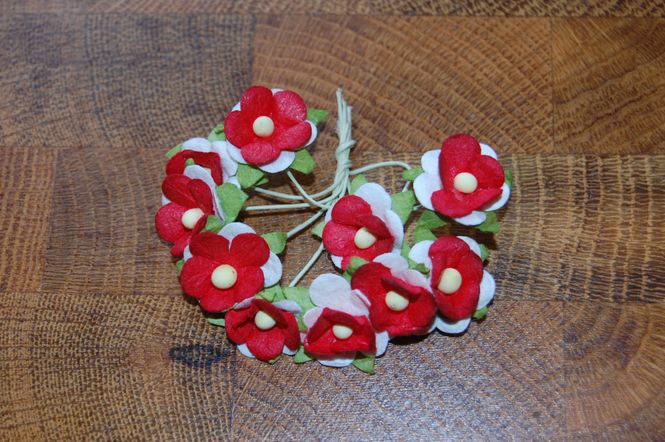 Hovedbilde Hvite og Rød Mai Blomster-SH96