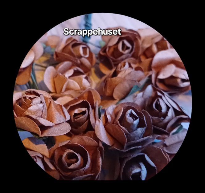 Hovedbilde Brune Roser - SH61