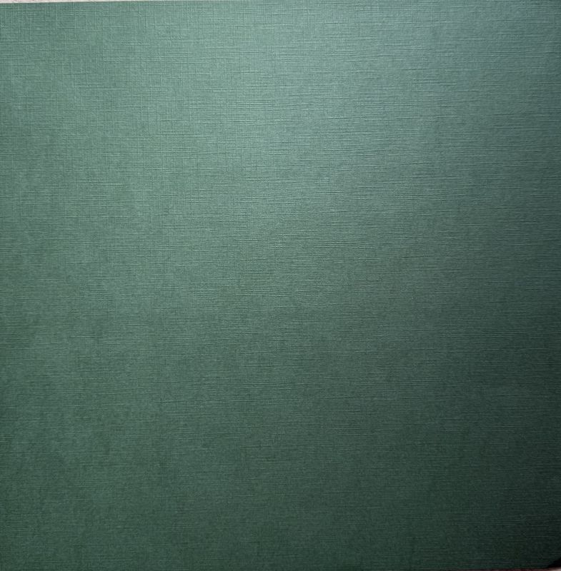 Kartong-Linen-12x12 inch-240 gr- Basilikum 41